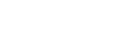 Vakis Logo – Light